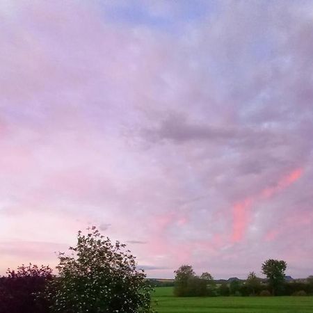 Privatzimmer Mit Aussicht Pirna Eksteriør billede