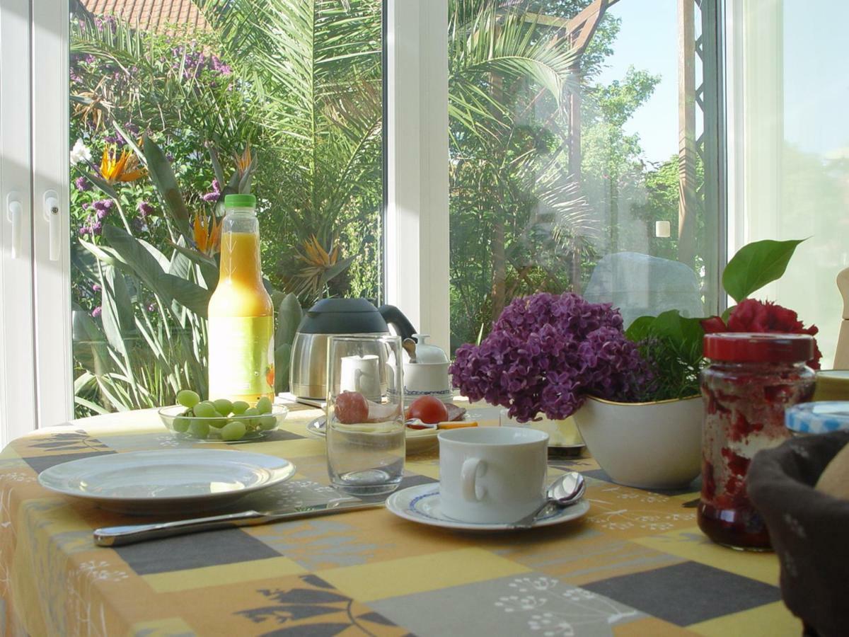 Privatzimmer Mit Aussicht Pirna Eksteriør billede